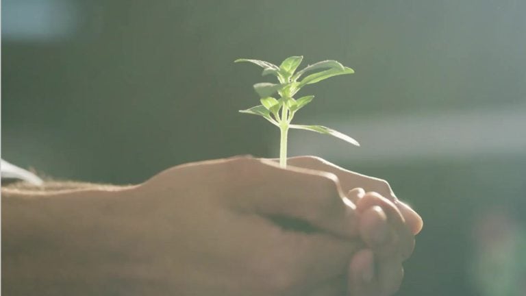 Tự do nội tâm là gì