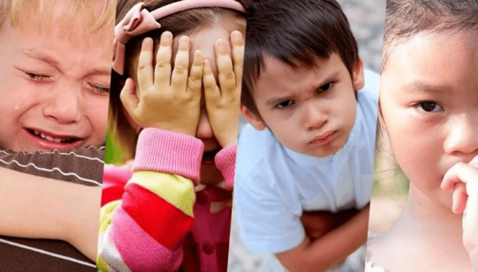 Cách nhìn cảm xúc mà không bị cuốn theo